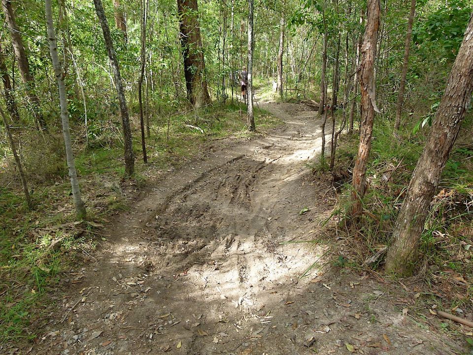 P1160422.jpg